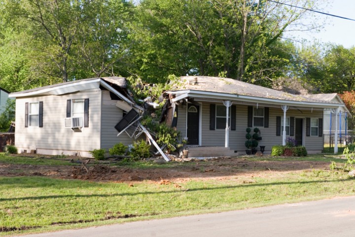 Fallen Tree Damage Restoration by Elite Facility Management LLC