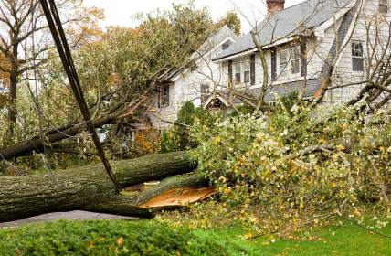 Storm damage restoration in Mountain Brook by Elite Facility Management LLC