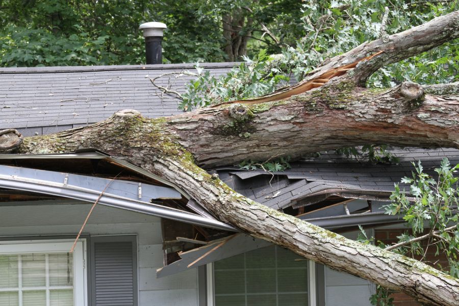 Roof Damage Claims by Elite Facility Management LLC